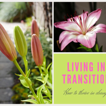Living in Transition: How to thrive in change