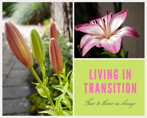 Living in Transition: How to thrive in change