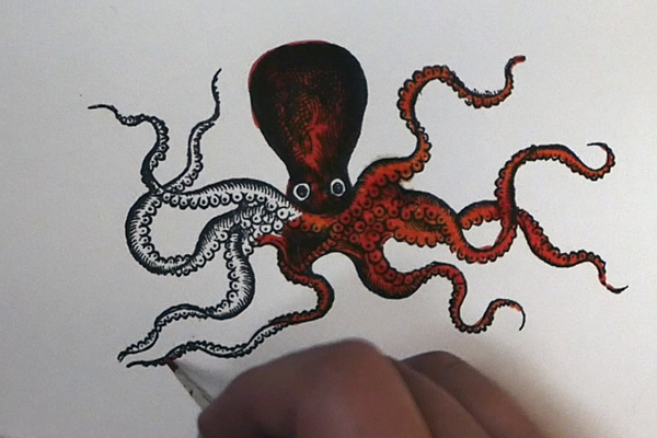 Panting with Ink the Octopus
