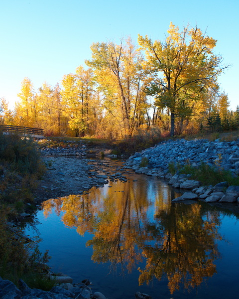 Fall Colors in Fish Creek Park Calgary Alberta