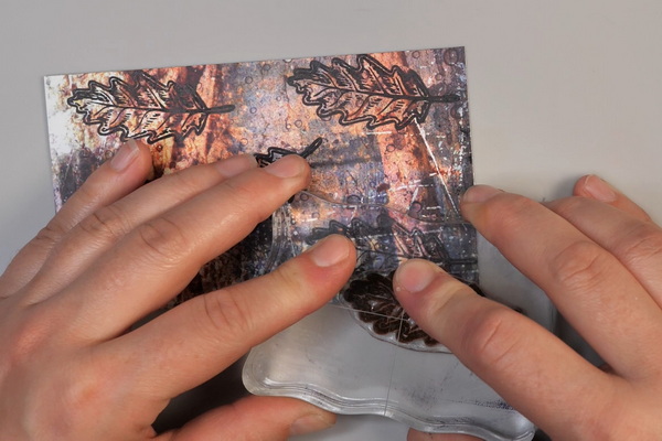 Stamping Leaf Images on Patterned Paper Wild Whisper Designs