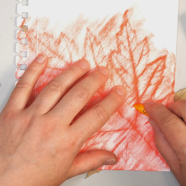 How to make a leaf Rubbing of a maple leaf using Caran d'Ache Neocolor 1 Wax Pastel