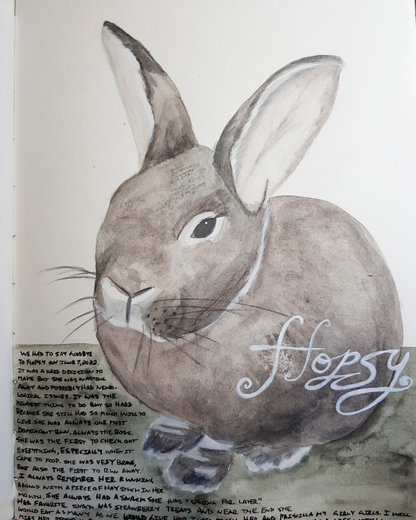 Rabbit Sketch on Strathmore Watercolor Paper Using Water Soluble Graphite Caran d'Ache Technalo Pencils