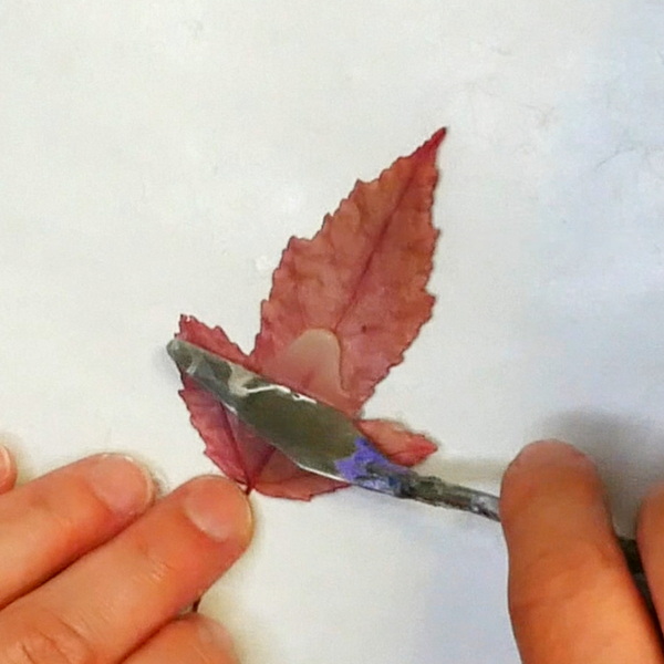 Adding Yes Stick Flat Glue to Dried Leaf
