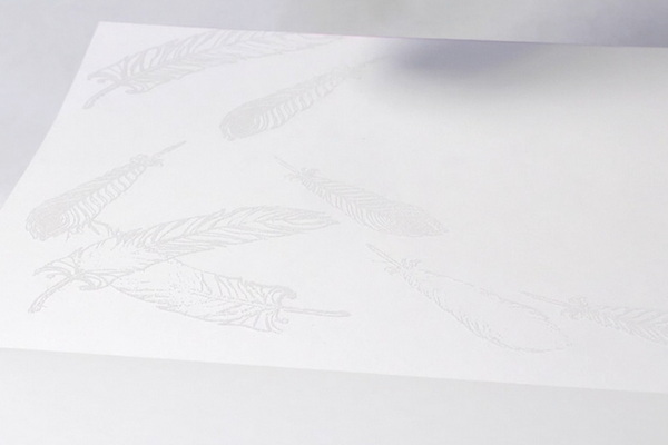 White embossing powder added to feather images