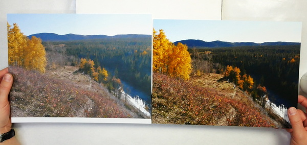 Comparison of Photo printed on watercolor paper vs copy paper