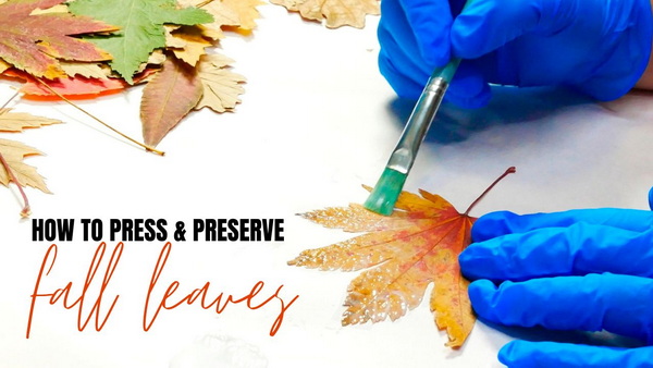 How to press and preserve fall leaves