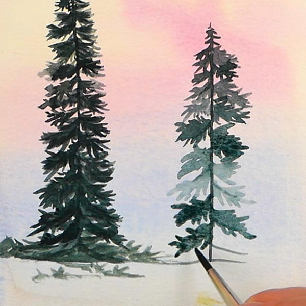 Painting a bushy pine tree painted with watercolors