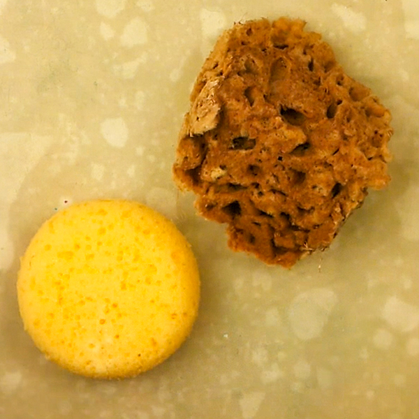 Sponges for gel plate printing