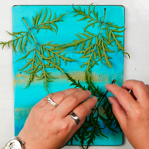 Adding elderberry leaves to the gel printing plate