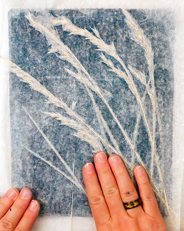 Grass gel print on tissue paper using blue fescue grasses