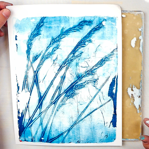 Grass gel print using blue fescue grasses