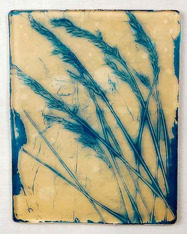 Grass gel print impressions using blue fescue grasses