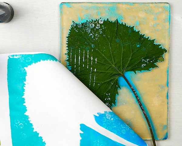 Removing Ligularia leaf to make 2 step gel print