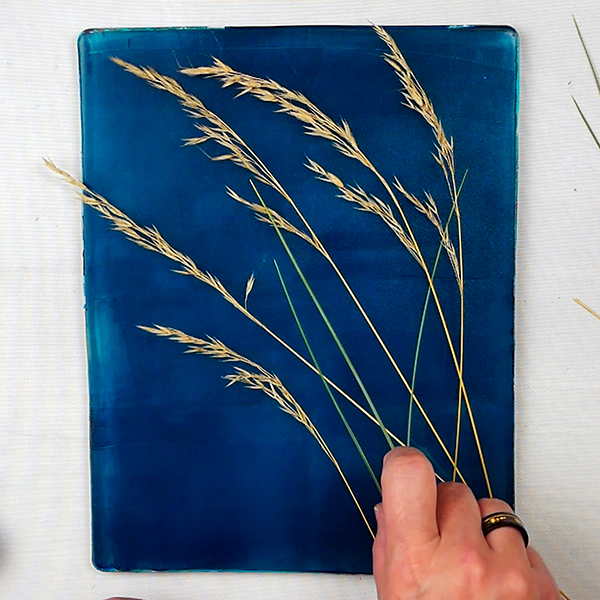 Placing grasses on gel plate to make a gel print