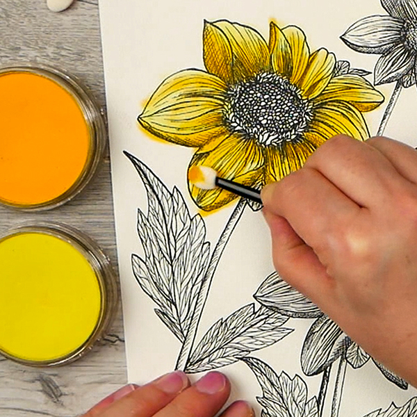 Blending Highlights with Hansa Yellow Pan Pastel to Dahlia Image created by Nadine Milton from Hop-A-Long Studio