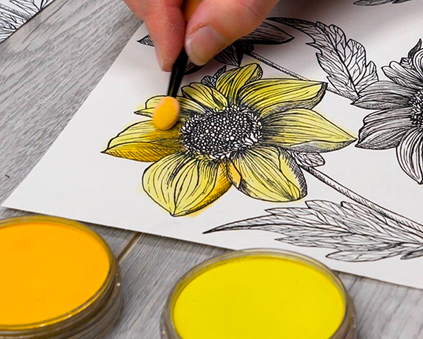 Adding Layers of Diarylide Yellow Pan Pastels to Dahlia Image drawn by Nadine Milton of Hop-A-Long Studio