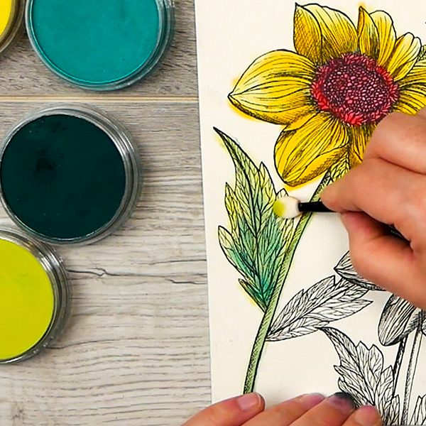 Adding layers of Phthalo Green Pan Pastel to Dahlia Image created by Nadine Milton from Hop-A-Long Studio