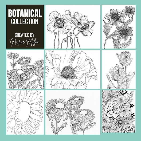 Botanical Illustrations Collection Hop-A-Long Studio
