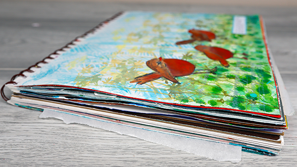 Strathmore Bristol Journal with Mixed Media Pages