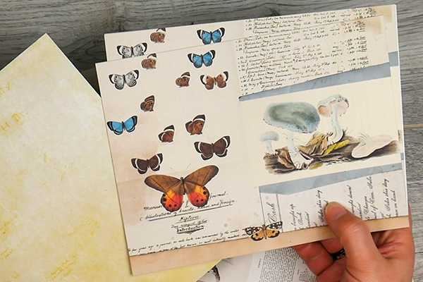 49 and Market Collage Papers