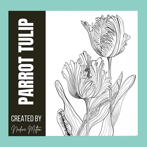 Parrot Tulip Illustration Hop-A-Long Studio